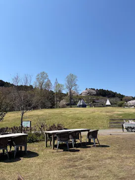 いばらきフラワーパークに投稿された画像（2026/4/3）