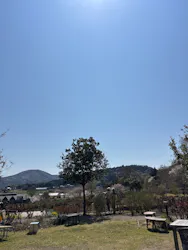 いばらきフラワーパークに投稿された画像（2026/4/3）