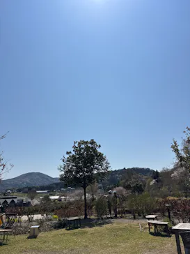 いばらきフラワーパークに投稿された画像（2026/4/3）