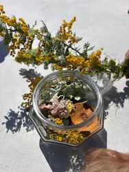 いばらきフラワーパークに投稿された画像（2026/4/3）