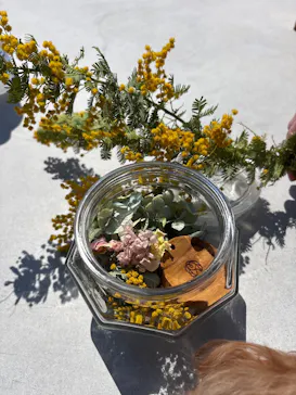 いばらきフラワーパークに投稿された画像（2026/4/3）