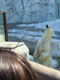 恩賜上野動物園に投稿された画像（2026/4/3）