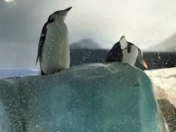名古屋港水族館に投稿された画像（2026/4/3）