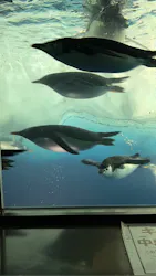 名古屋港水族館に投稿された画像（2026/4/3）