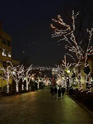 函館まちあるきガイドに投稿された画像（2026/4/3）