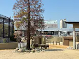 天王寺動物園に投稿された画像（2026/4/3）
