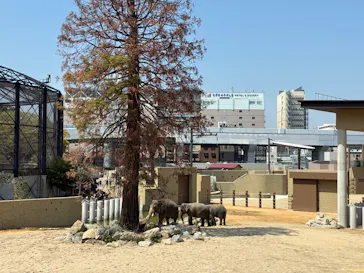 天王寺動物園に投稿された画像（2026/4/3）