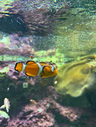 サンシャイン水族館に投稿された画像（2026/4/3）