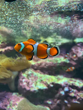 サンシャイン水族館に投稿された画像（2026/4/3）