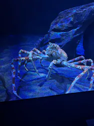 サンシャイン水族館に投稿された画像（2026/4/3）