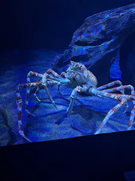 サンシャイン水族館に投稿された画像（2026/4/3）