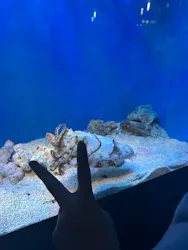 サンシャイン水族館に投稿された画像（2026/4/3）