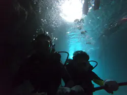 武藤潜水に投稿された画像（2026/4/3）