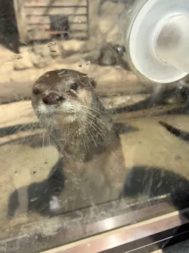 しろとり動物園に投稿された画像（2026/4/3）