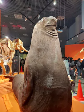 特別展「超危険生物展　科学で挑む生き物の本気」に投稿された画像（2026/4/3）