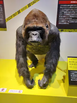 特別展「超危険生物展　科学で挑む生き物の本気」に投稿された画像（2026/4/3）