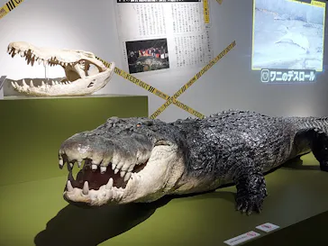 特別展「超危険生物展　科学で挑む生き物の本気」に投稿された画像（2026/4/3）