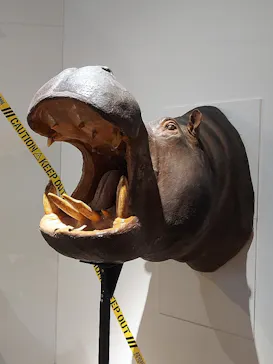 特別展「超危険生物展　科学で挑む生き物の本気」に投稿された画像（2026/4/3）