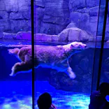 横浜・八景島シーパラダイスに投稿された画像（2026/4/3）