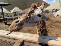 伊豆シャボテン動物公園に投稿された画像（2026/4/3）