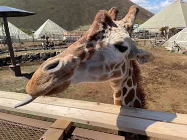 伊豆シャボテン動物公園に投稿された画像（2026/4/3）