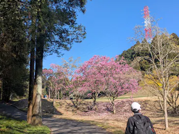 International Series Japanに投稿された画像（2026/4/3）