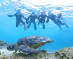 アマミエンシスに投稿された画像（2026/4/3）