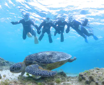 アマミエンシスに投稿された画像（2026/4/3）