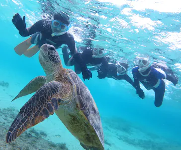 アマミエンシスに投稿された画像（2026/4/3）