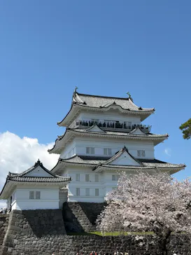小田原城に投稿された画像（2026/4/3）