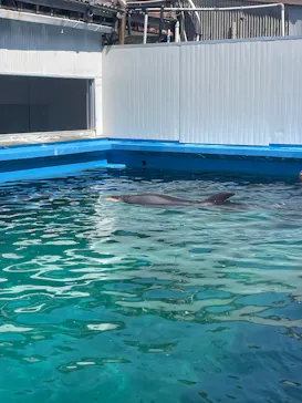 ゼロ距離水族館 伊勢シーパラダイスに投稿された画像（2026/4/3）