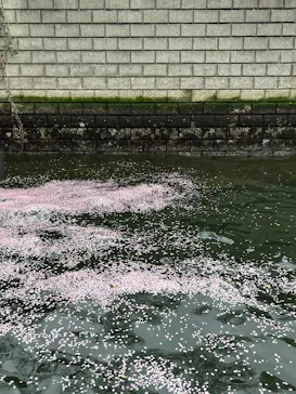 東京ウォータウェイズに投稿された画像（2026/4/3）