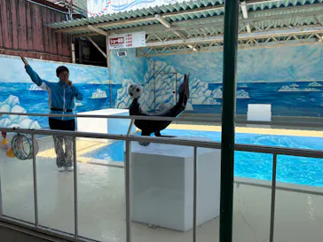 東北サファリパークに投稿された画像（2026/4/3）