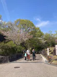 名古屋市東山動植物園に投稿された画像（2026/4/3）