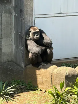 千葉市動物公園に投稿された画像（2026/4/3）