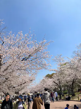 万博記念公園に投稿された画像（2026/4/3）