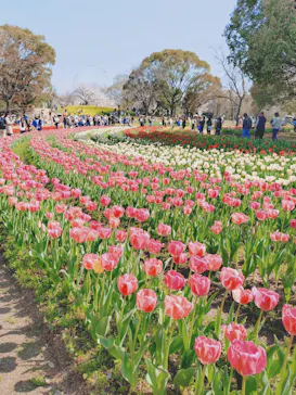 万博記念公園に投稿された画像（2026/4/3）