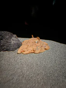 サンシャイン水族館に投稿された画像（2026/4/3）