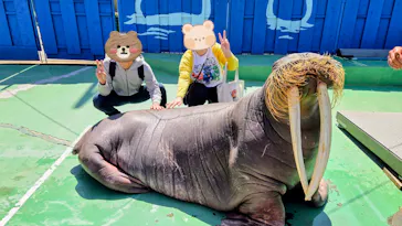 ゼロ距離水族館 伊勢シーパラダイスに投稿された画像（2026/4/3）