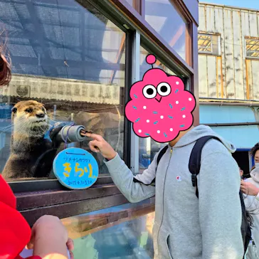 ゼロ距離水族館 伊勢シーパラダイスに投稿された画像（2026/4/3）