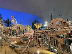 福井県立恐竜博物館に投稿された画像（2026/4/3）