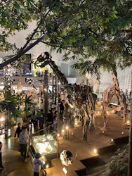 福井県立恐竜博物館に投稿された画像（2026/4/3）