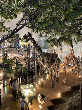 福井県立恐竜博物館に投稿された画像（2026/4/3）