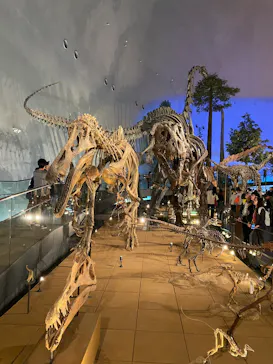 福井県立恐竜博物館に投稿された画像（2026/4/3）