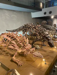 福井県立恐竜博物館に投稿された画像（2026/4/3）