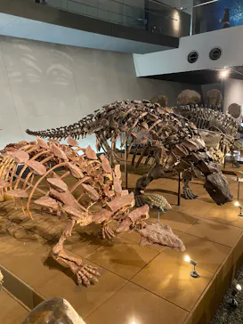 福井県立恐竜博物館に投稿された画像（2026/4/3）