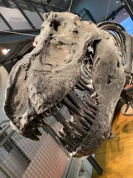 福井県立恐竜博物館に投稿された画像（2026/4/3）