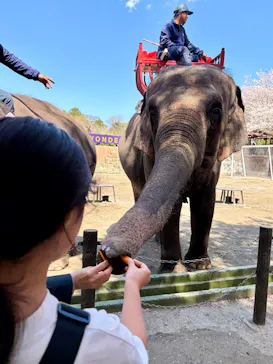 ANIMAL WONDER REZOURT 市原ぞうの国・サユリワールドに投稿された画像（2026/4/3）