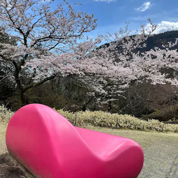 彫刻の森美術館に投稿された画像（2026/4/3）