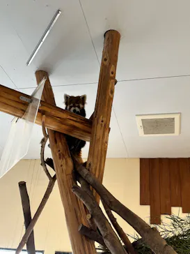 アドベンチャーワールドに投稿された画像（2026/4/3）